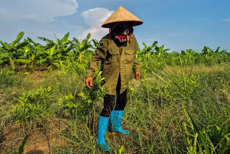 Trump-branded golf resort in Vietnam hits snag over land dispute Trump-branded golf resort in Vietnam hits snag over land dispute