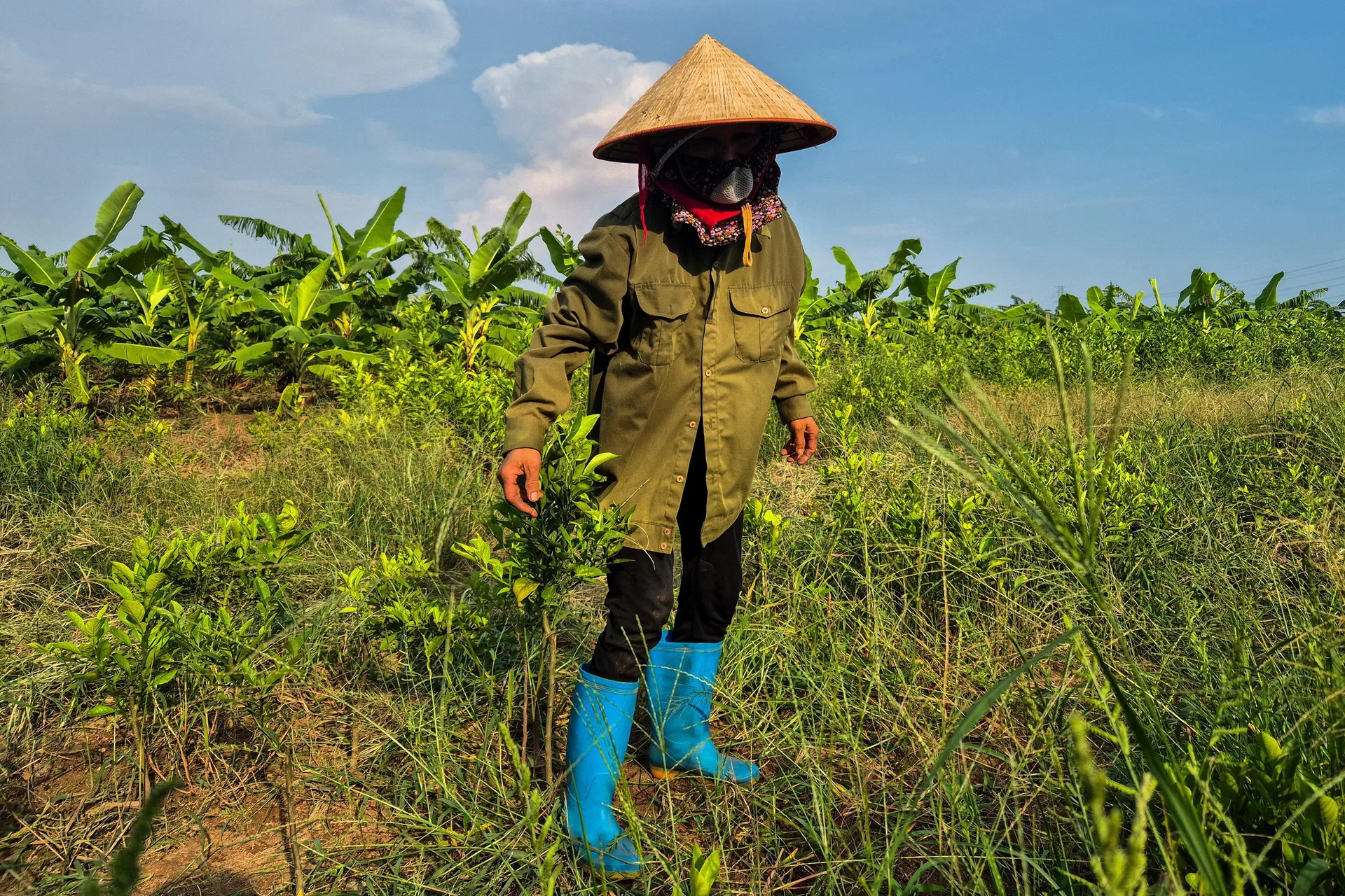 Trump-branded golf resort in Vietnam hits snag over land dispute Trump-branded golf resort in Vietnam hits snag over land dispute
