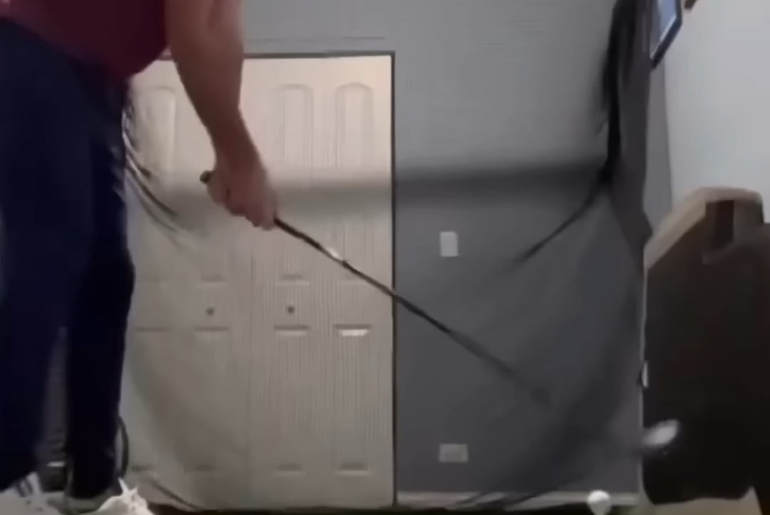 Testing out the net [Not OC]