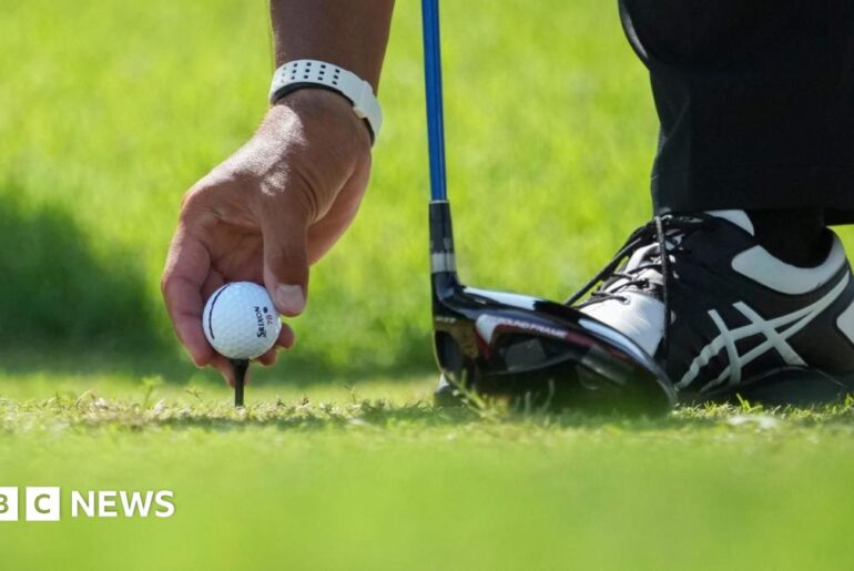 Mentmore golf course would cost millions to revive, judge told Leonard and Hungry Paul