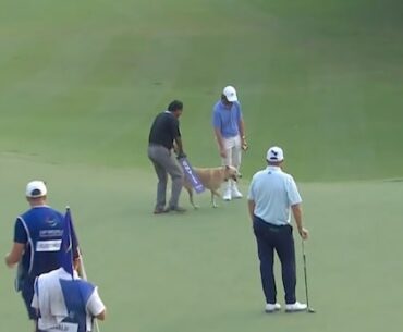 Download app from appStore