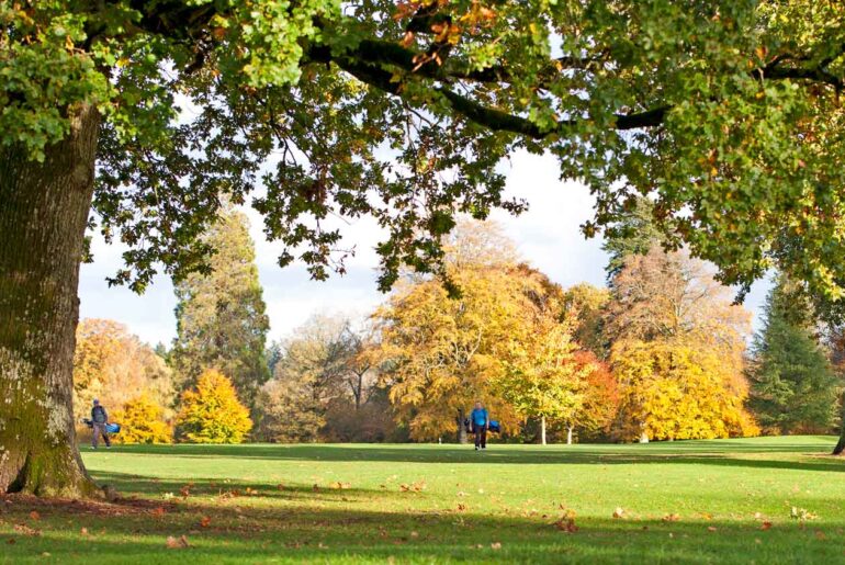 ‘Casual golf’ is my favorite kind of golf. Here’s how to play it ‘Casual golf’ is my favorite kind of golf. Here’s how to play it