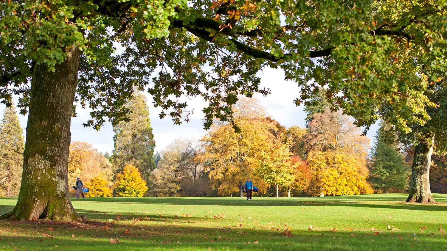 ‘Casual golf’ is my favorite kind of golf. Here’s how to play it ‘Casual golf’ is my favorite kind of golf. Here’s how to play it