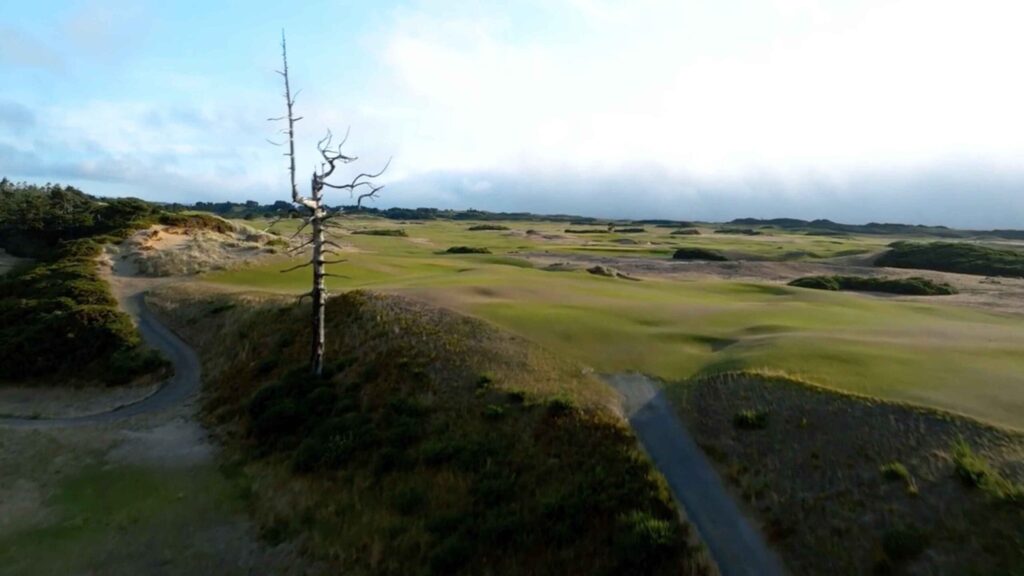 This Bandon Dunes par-4 has a famous tree — and so much more