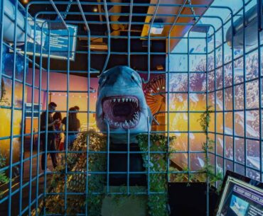Albatross mini-golf | Greenspan blends tech & storytelling