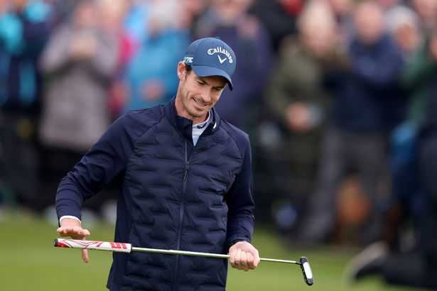 Andy Murray playing golf