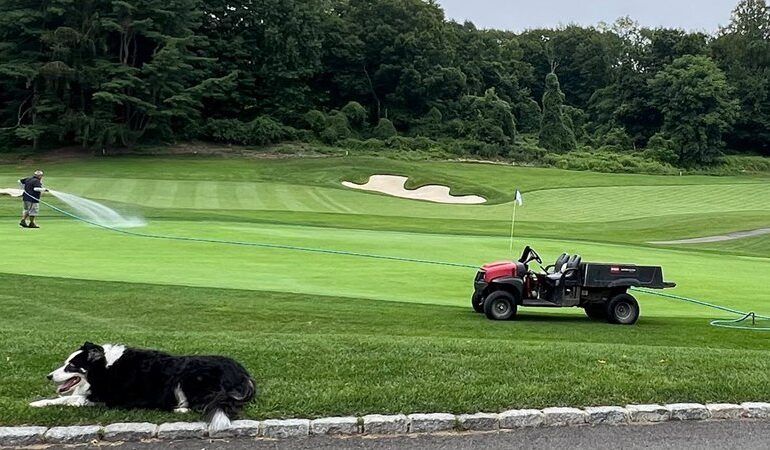 Pavonetti adds President's Award to his growing list of environmental achievements - News