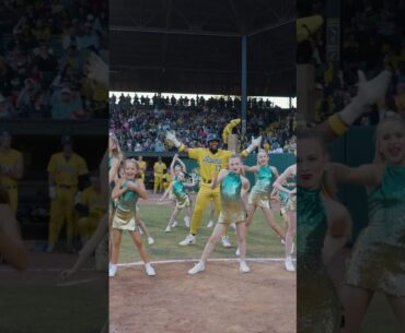 “WOP” Batter Walkup #dance #savannahbananas #bananaball #baseball #dancing