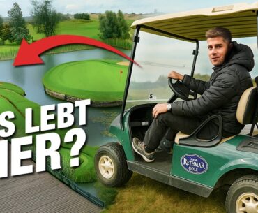 WAS lebt in diesen Golfplatz-Seen? ⛳