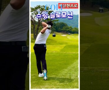 20년 투어 경력, 박상현프로의 완성형 스윙