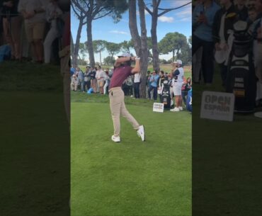 THE PERFECT GOLF SWING • Angel Ayora