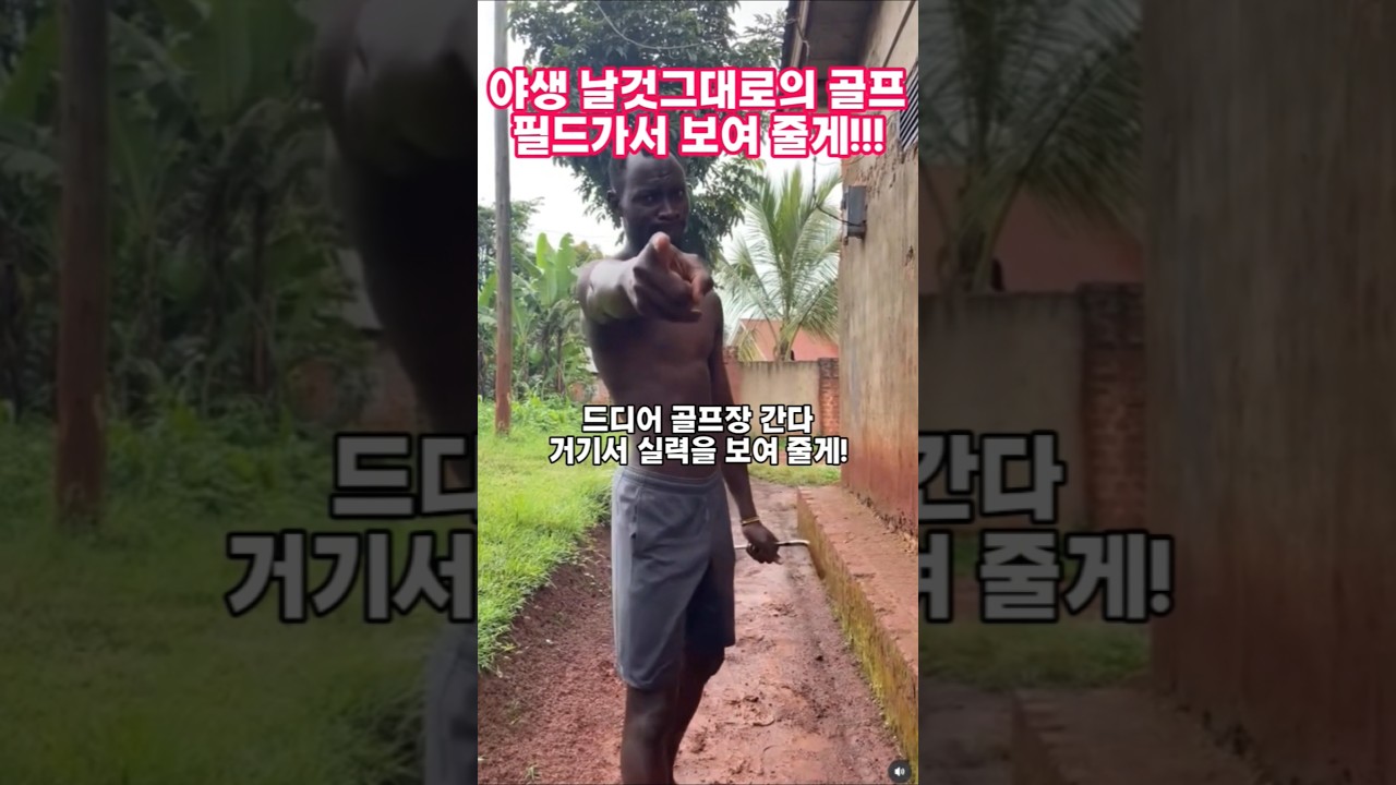 드디어 필드간다. 야생에서 닦은실력 모두보여 줄게!! 드디어 필드간다. 야생에서 닦은실력 모두보여 줄게!!