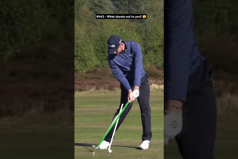 Golf Swing: Parametric acceleration