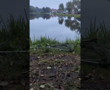 Es ist wieder Forellenseezeit! #angeln #forellenangeln