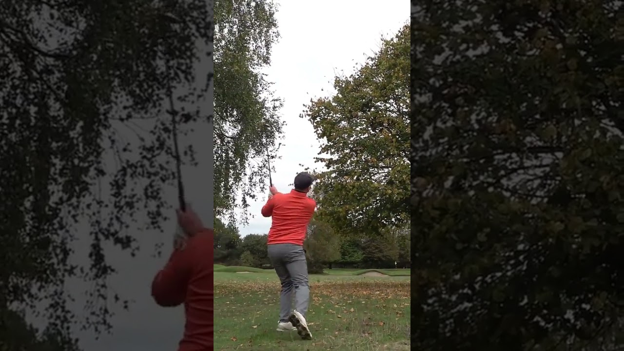 That feeling when you pull off the golf shot! #golf #flopshot That feeling when you pull off the golf shot! #golf #flopshot