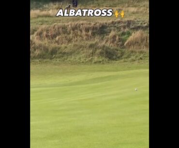 ALBATROSS!!! ⛳️ #lekagolf #golfalbatross #greatgolfshot