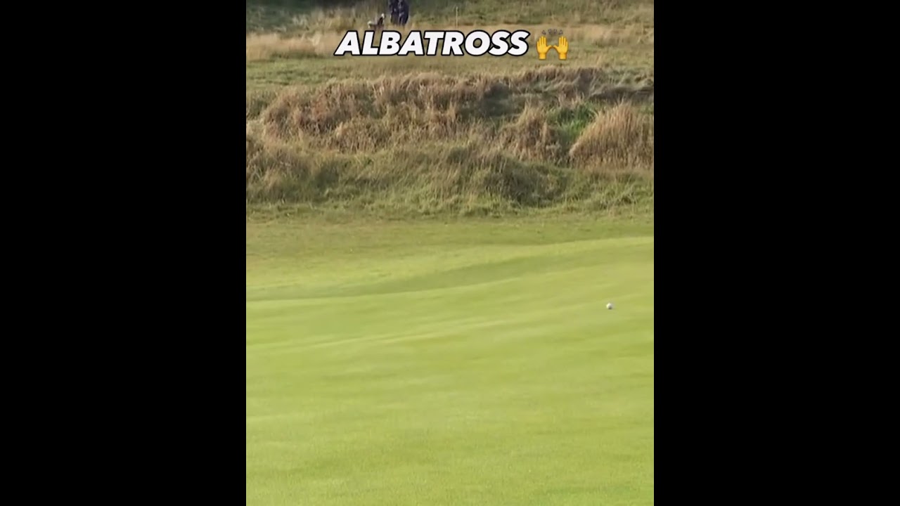 ALBATROSS!!! ⛳️ #lekagolf #golfalbatross #greatgolfshot ALBATROSS!!! ⛳️ #lekagolf #golfalbatross #greatgolfshot