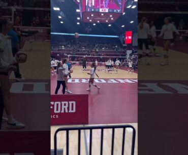 #volleyball #fyp #waitforit #womensvolleyball