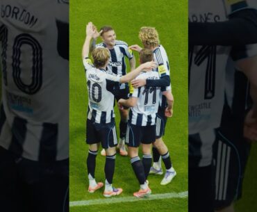 The flick by Nick, the finish by Barnes 😍. What a great team goal by Newcastle! #championsleague