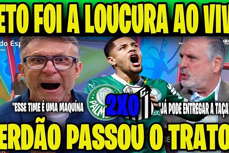 NETO FOI A LOUCURA E NÃO POUPOU PALAVRAS & IMPRENSA SE RENDEU VERDÃO!PALMEIRAS 2X0 SANTOS BRASILEIRÃ
