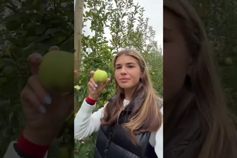 New video out tomorrow! #shorts #vlog