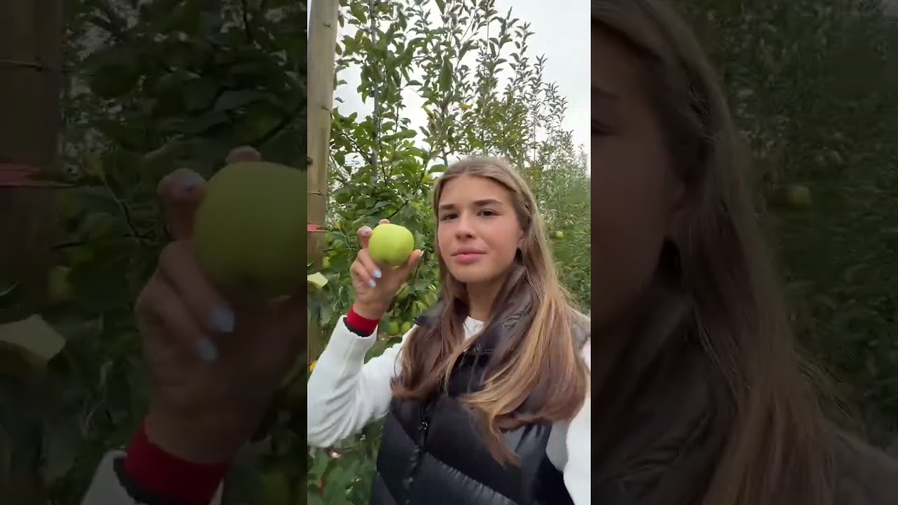 New video out tomorrow! #shorts #vlog New video out tomorrow! #shorts #vlog