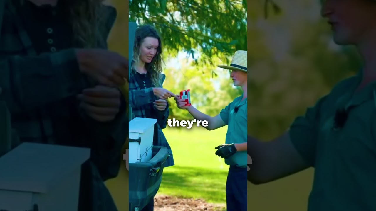 I can’t married his cousin #amish #amishdude #rumspringa #golf #girl I can’t married his cousin #amish #amishdude #rumspringa #golf #girl