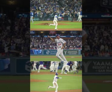 Give us ALL the angles of Freddie Freeman's walk-off home run! 🤩