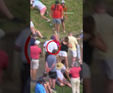 This ball goes on a CRAZY adventure! 🤪😂 #shorts