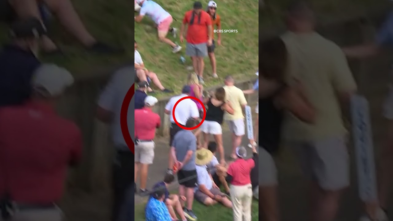 This ball goes on a CRAZY adventure! 🤪😂 #shorts This ball goes on a CRAZY adventure! 🤪😂 #shorts