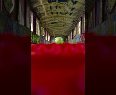 Belle Isle Golf ⛳ Cart Tunnel Bridge #detroit #rccrawler #belleisle