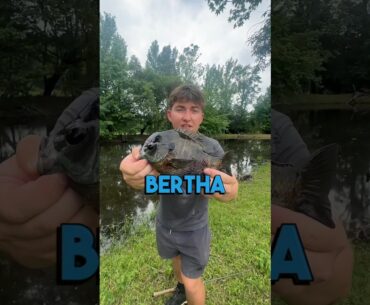 STATE RECORD BASS LIVES HERE 😦 #bassfishing #shorts #fishing