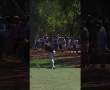 Brian Harman Iron Swing 2025 #golf #golfswing #pgatour  #brianharman