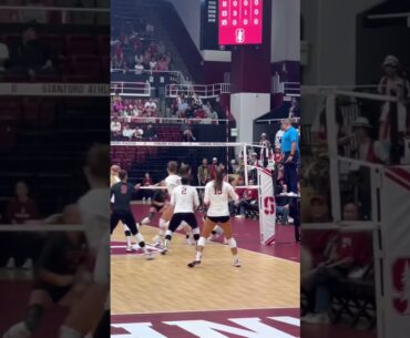 #volleyball  #fyp #waitforit #womensvolleyball