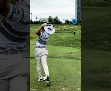 부드럽고 여유가 묻어나는 우드샷 ✨ [7s] #Ryo KATSUMATA