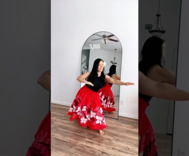 Basic Hula Steps 🌺