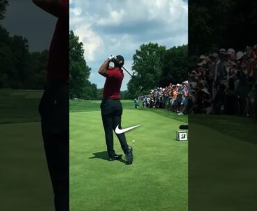 Tiger Rejected $800M: Here's Why 🤯💰