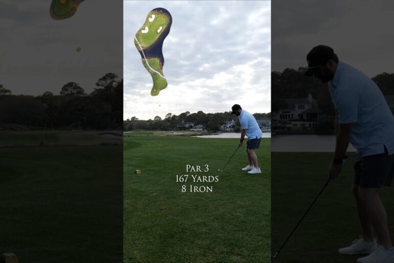 Robert Trent Jones Course at Palmetto Dunes Resort 12th Hole #shorts #golf