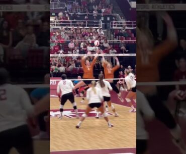 #volleyball  #fyp #waitforit #womensvolleyball