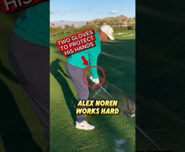 Alex Noren Wears TWO Gloves?! Proof He’s the Hardest Worker in Golf #golf #golftips #golfswing