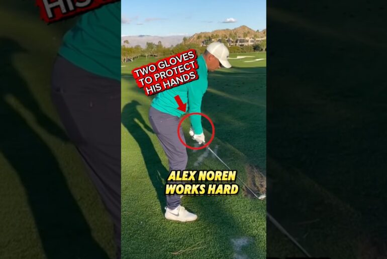 Alex Noren Wears TWO Gloves?! Proof He’s the Hardest Worker in Golf #golf #golftips #golfswing