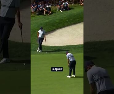 FANTASTIC from Fitzpatrick! 😍