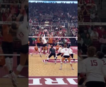 #volleyball  #fyp #waitforit #womensvolleyball