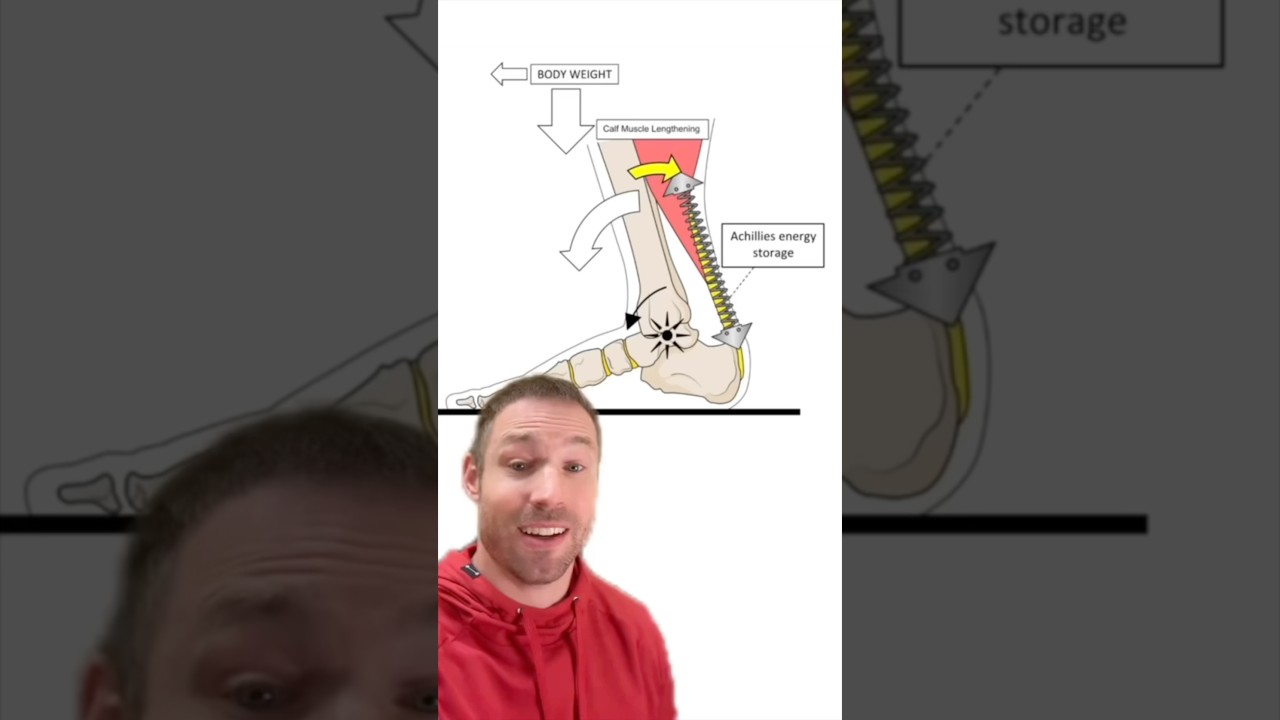 How To Fix Achilles Tendonitis! How To Fix Achilles Tendonitis!