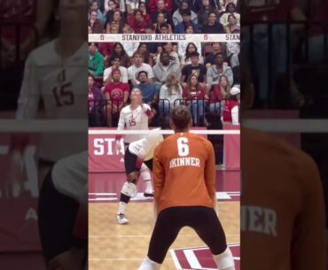 #volleyball  #fyp #waitforit #womensvolleyball