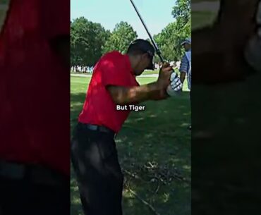 Why Tiger Woods Is The GOAT 🐐⛳
