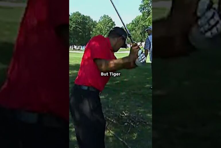 Why Tiger Woods Is The GOAT 🐐⛳