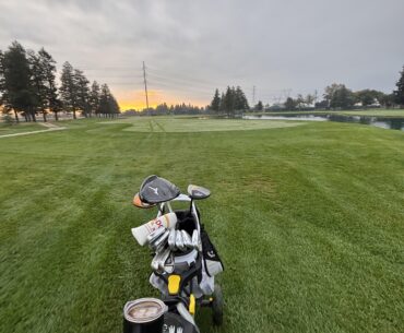 Push Cart Mafia rise up.  Proud member but contemplating joining the electric push cart mafia.  Any converts?  Or purists that just say No to E-push carts?