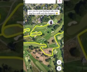 Asked your man to walk the dog… he took the dog golfing instead 😂⛳️