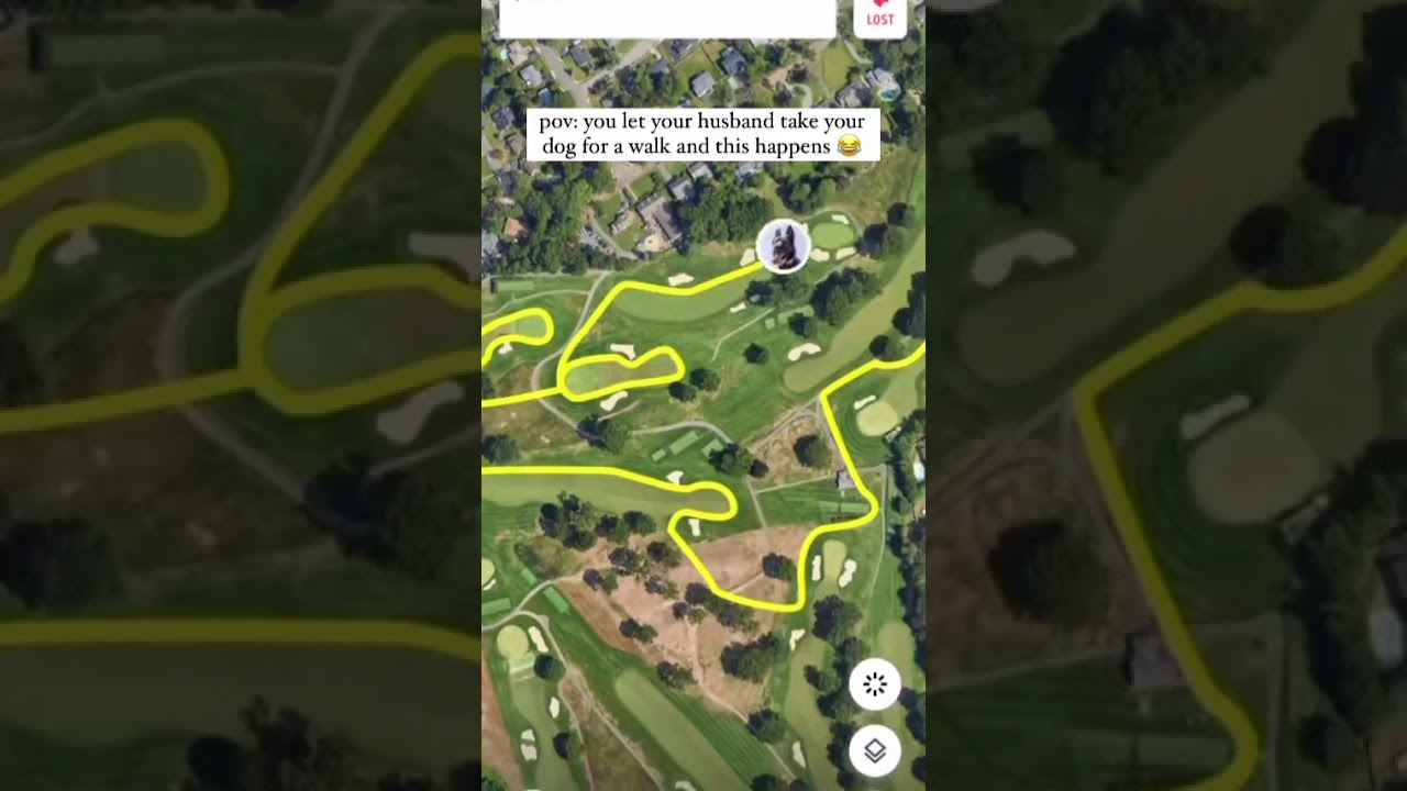 Asked your man to walk the dog… he took the dog golfing instead 😂⛳️ Asked your man to walk the dog… he took the dog golfing instead 😂⛳️